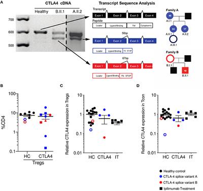 CTLA4 Message Reflects Pathway Disruption in Monogenic Disorders and Under Therapeutic Blockade